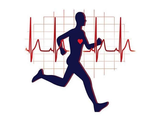 Các bài tập tốt cho tim mạch, tăng cường sức khỏe