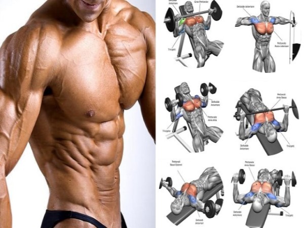 Bài tập gym cơ bản cho nam phát triển cơ ngực 
