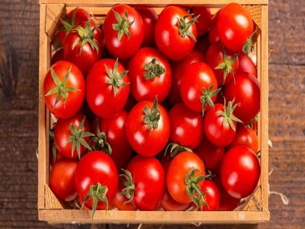 Cà chua bao nhiêu calo? Công dụng của cà chua đối với sức khỏe