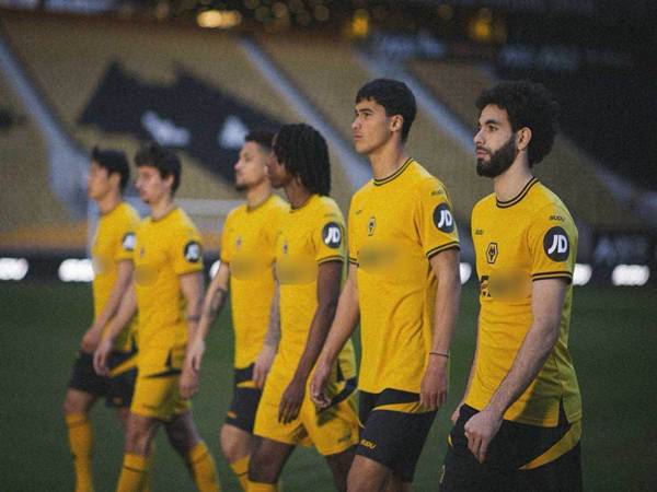 Những thành tích CLB Wolverhampton từng giành được